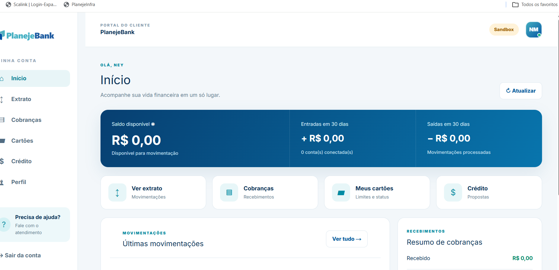 Informações reais do portal com saldo, entradas e saídas